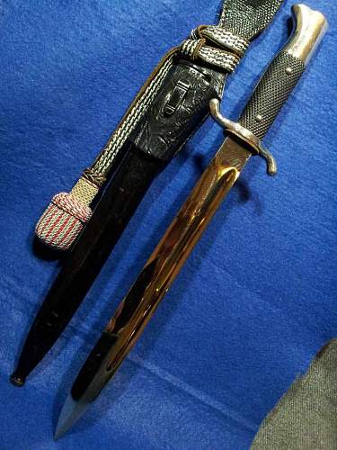 Unmarked long Fire bayonet,frog and troddel.