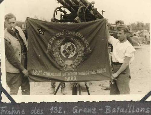 Thoughts on this 49th Infantry Regiment flag...