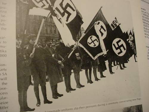 NSDAP early flag/banner info needed