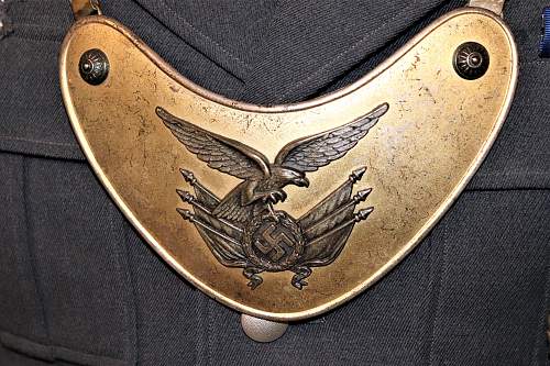 Luftwaffe Standard Bearer's Gorget and a few other items