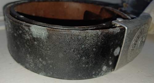 German belt with mould on, needs a clean?