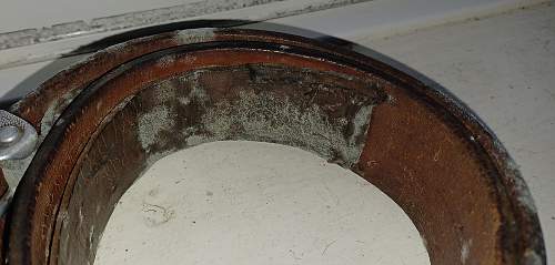 German belt with mould on, needs a clean?