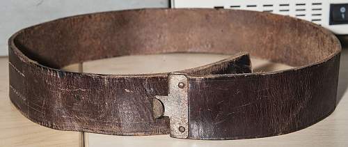 Brown belt, SA or HJ?