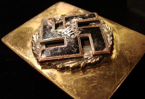 Sympathizer Buckle