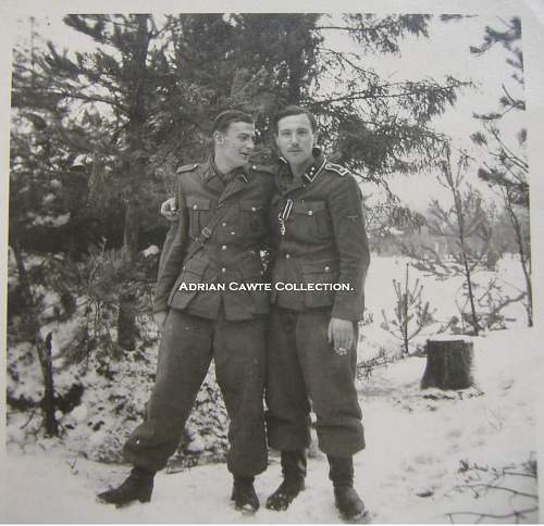 Waffen SS soldier pics...