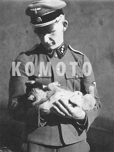 Komoto's Interesting Photographs (SS, SD, Personalities etc.) WARNING: incl. graphic content