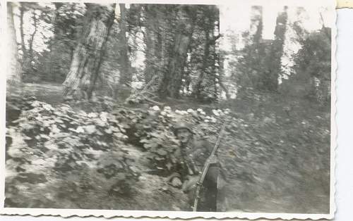 Could someone help me identify the army divisions of these photographs?