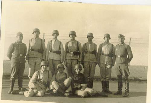 Could someone help me identify the army divisions of these photographs?