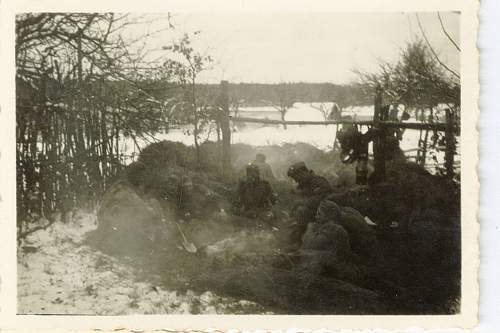 Could someone help me identify the army divisions of these photographs?