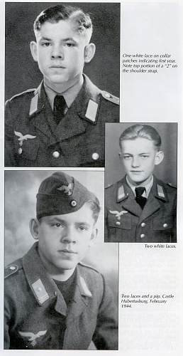 young guys in Luftwaffe, help