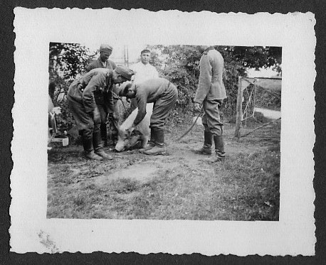 WWII photobook of my grandfather served in Rgt. 616 WH 16