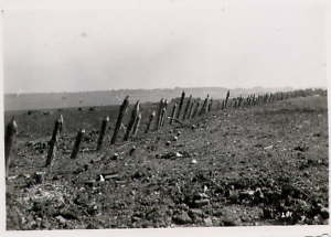 My WW2 PHOTOS collection - Third Reich Images