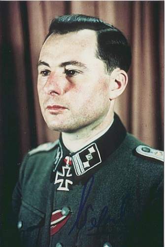 Hommage to Leon Degrelle