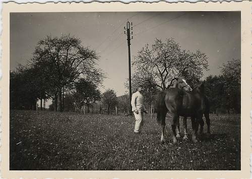 RAD Photograph Grouping