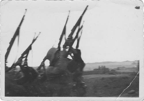 Photos of SS Artillerie Regt Totenkopf 1941 !!