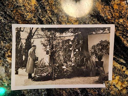 Postcard of Hitler at his parent's grave