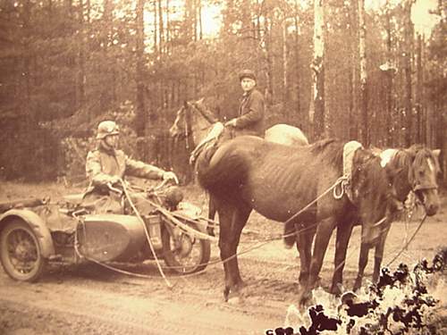 GERMAN WW2 PHOTOS odds and ends, tanks,planes, medals,weapons,