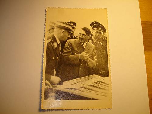 Pic of Hitler with SS and SA?