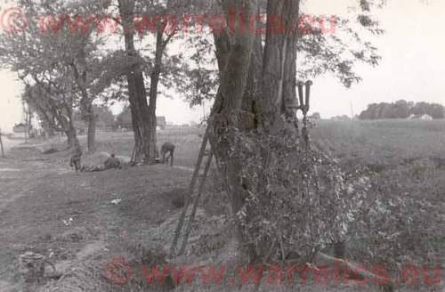 WW2 German Ostfront pictures