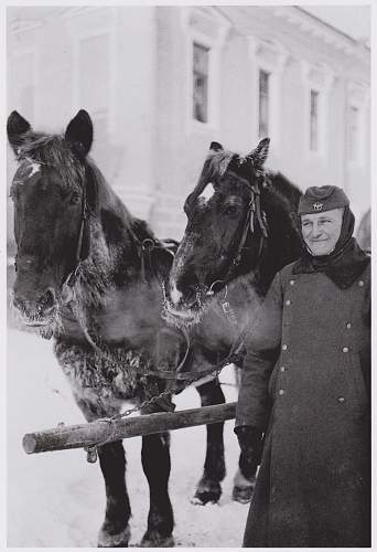 Winter on the Eastern Front