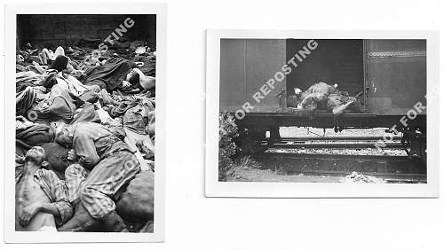 Are these Concentration Camp photos of Dachau?...