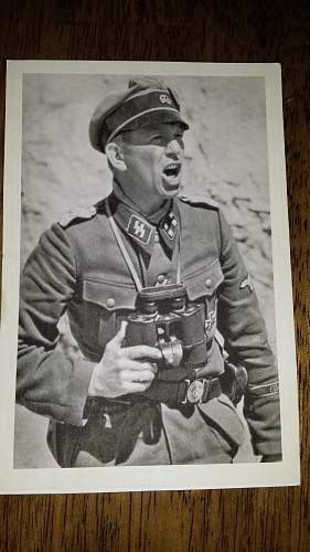 Waffen SS Postcards