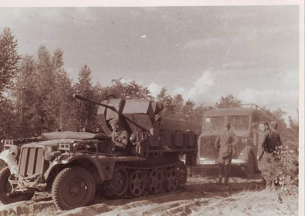 Half-track with flak cannon in Russia