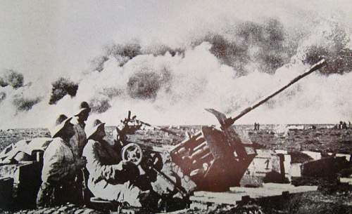 D.A.K. 2cm Flak