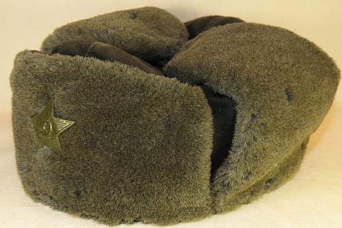 Winter M40 Ushanka