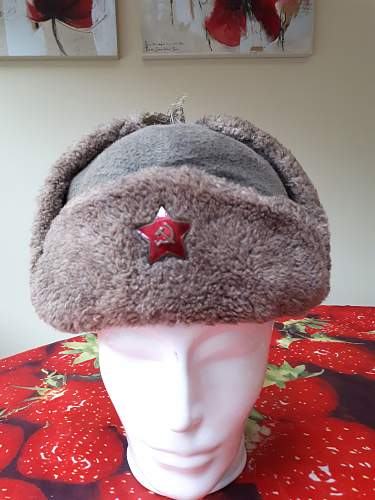 Ushanka