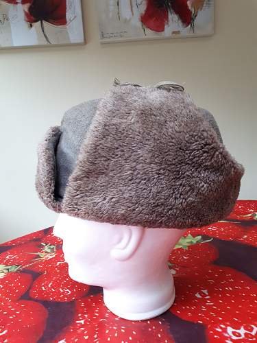 Ushanka