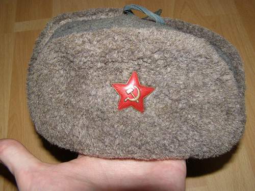 A salty ushanka