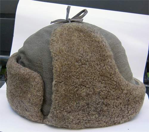 Show your Soviet winter headgear here- Ushankas and Budyonovkas