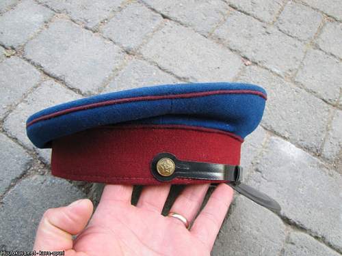 Opinions on a NKVD visor