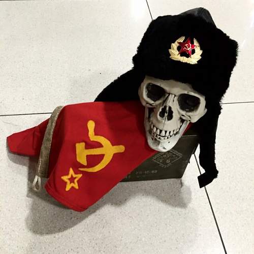 Its this a real soviet fighter Pilot cap?