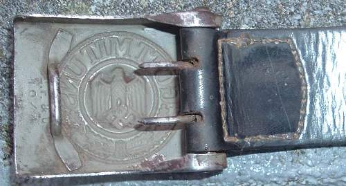 Questions - Frank &amp; Co. Buckle and Belt