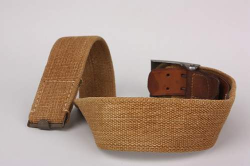 Thoughts of new purchase - tropical belt &amp; buckle