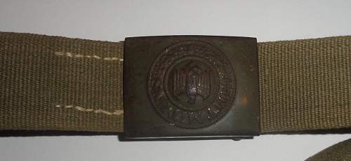 Tropical NCO Belt and Buckle