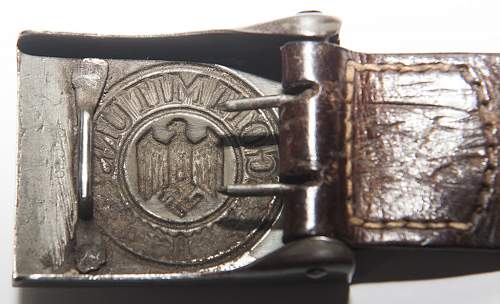 Dransfeld buckle