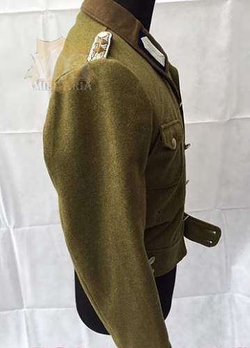 thoughts on this RAD Officer's M44 Tunic?