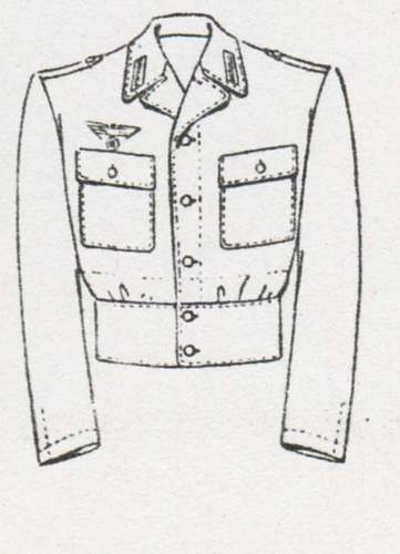 thoughts on this RAD Officer's M44 Tunic?