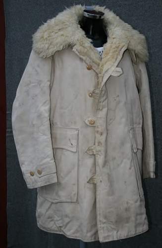 Swedish M1909 Style coats in use by the Germans