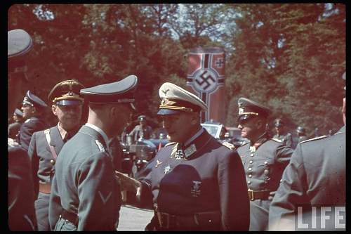 Luftwaffe tunics in period photos