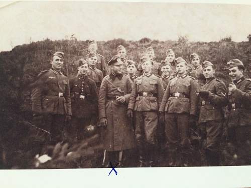 Help! Identifying uniform and rank etc