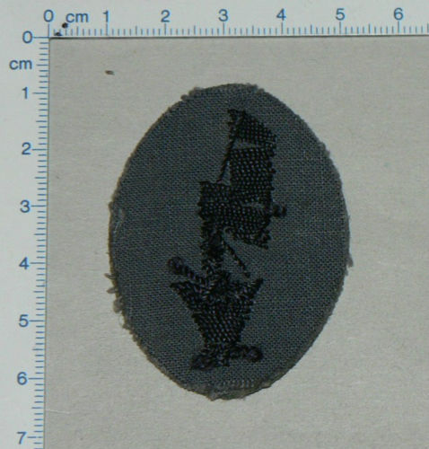 Engineer radio operator insignia/Aermelabzeichen Funker Pioniere: Authentic?