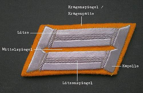 Collar patch terminology