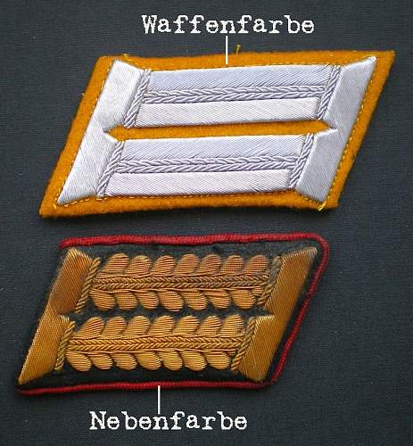 Collar patch terminology