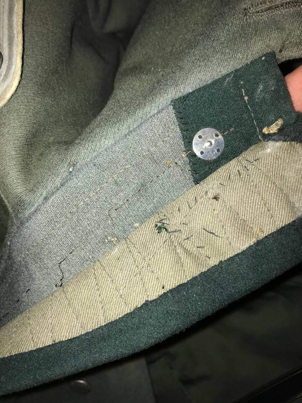 Need help! My wh infantry officer uniform