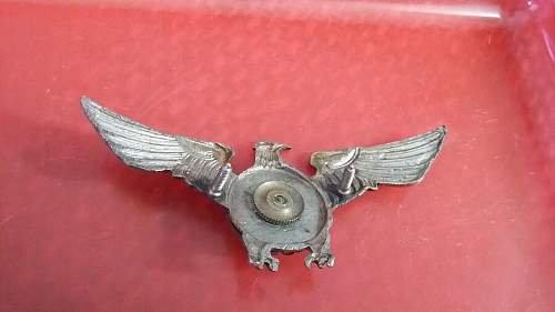 Pilot Badge Wings??