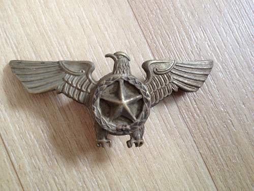 Pilot Badge Wings??